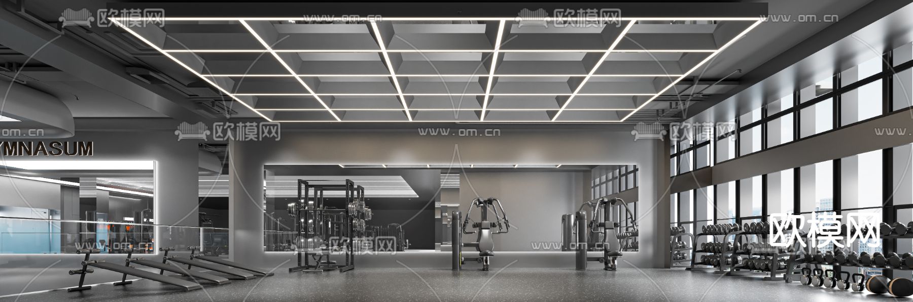 高级灰健身房3d模型下载（渲染图2）