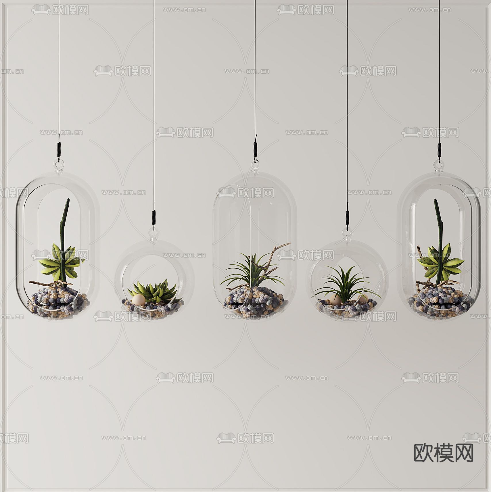 多肉植物 绿植吊瓶 盆栽3d模型下载