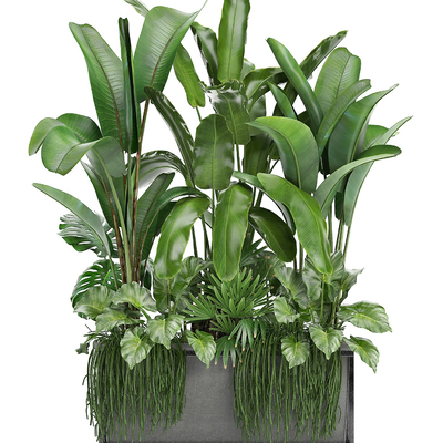  盆景 绿植堆su模型 