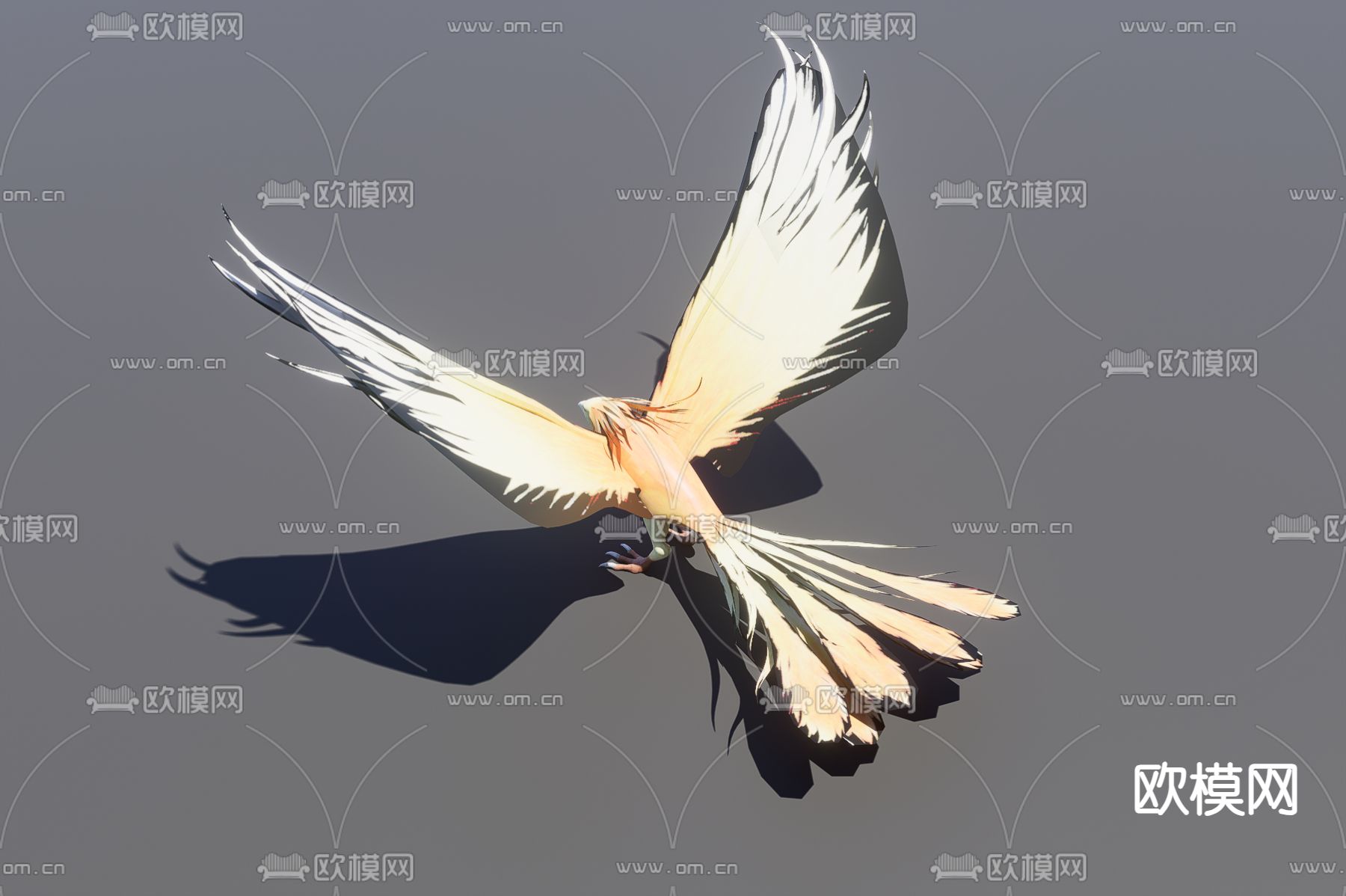 动物 凤凰3d模型下载（渲染图3）