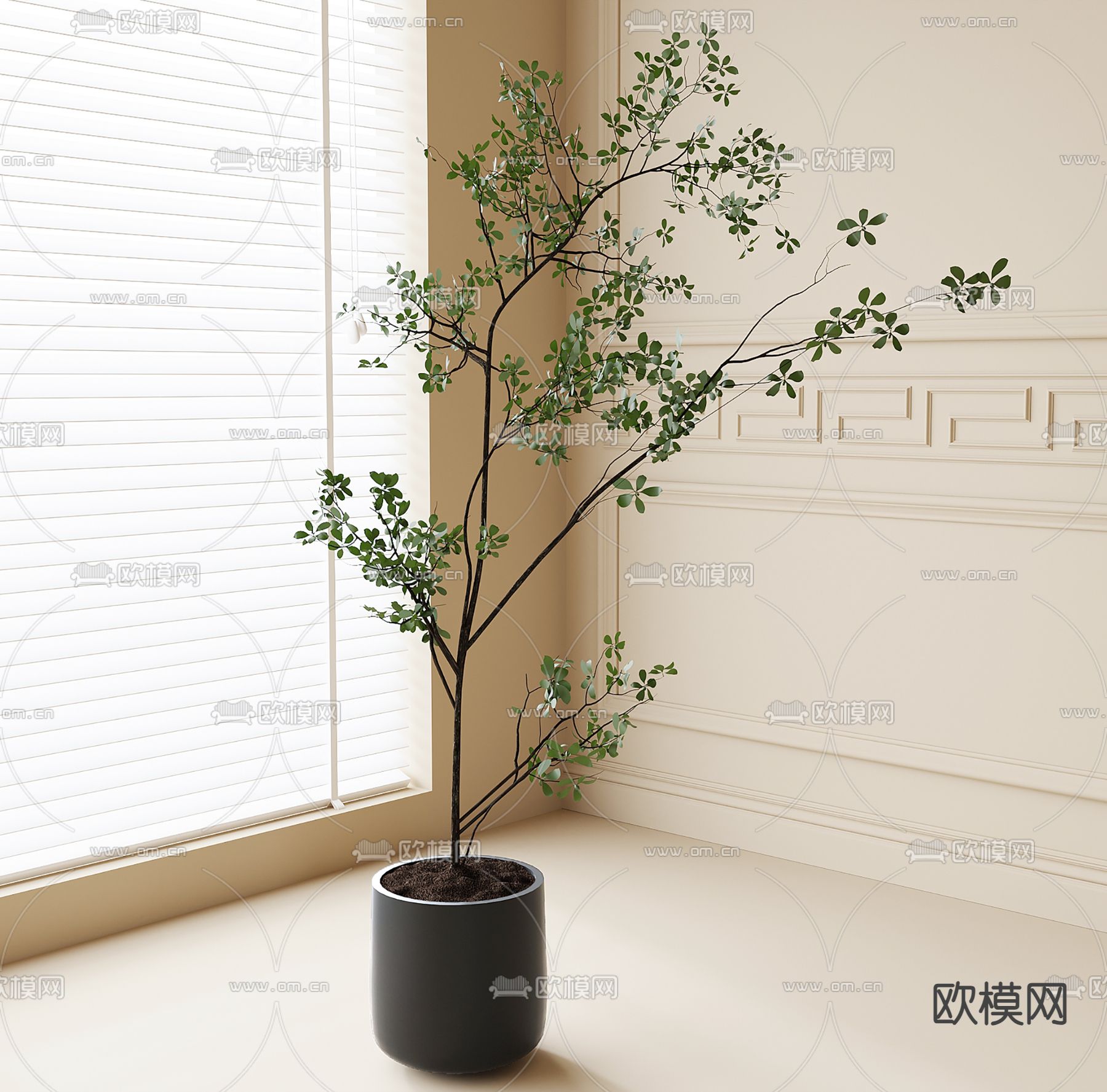 植物盆栽 绿植3d模型下载