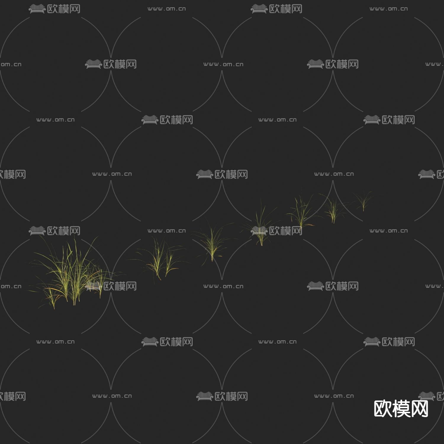 花草 鸭茅草3d模型下载