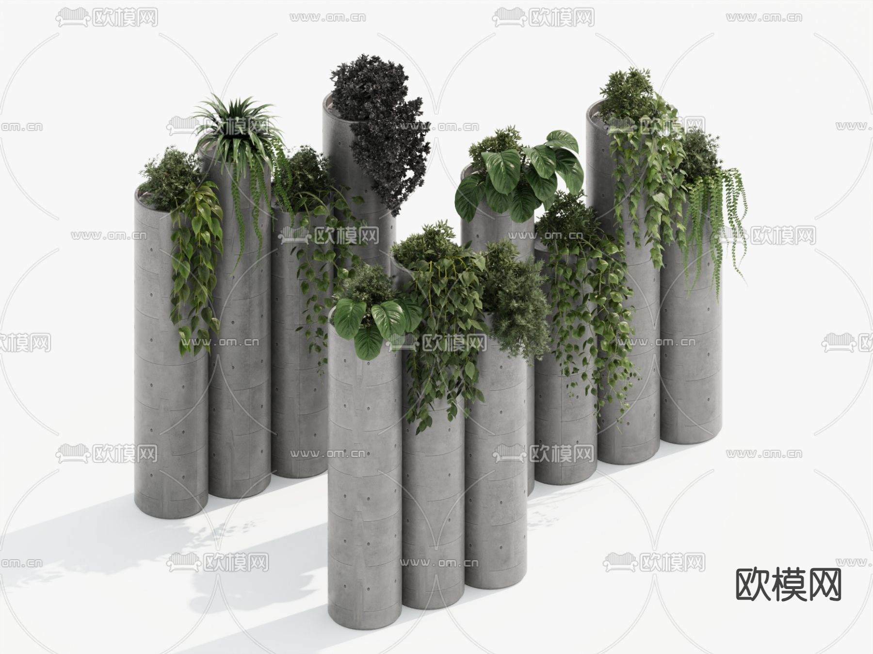 吊篮 吊兰 悬挂植物3d模型下载