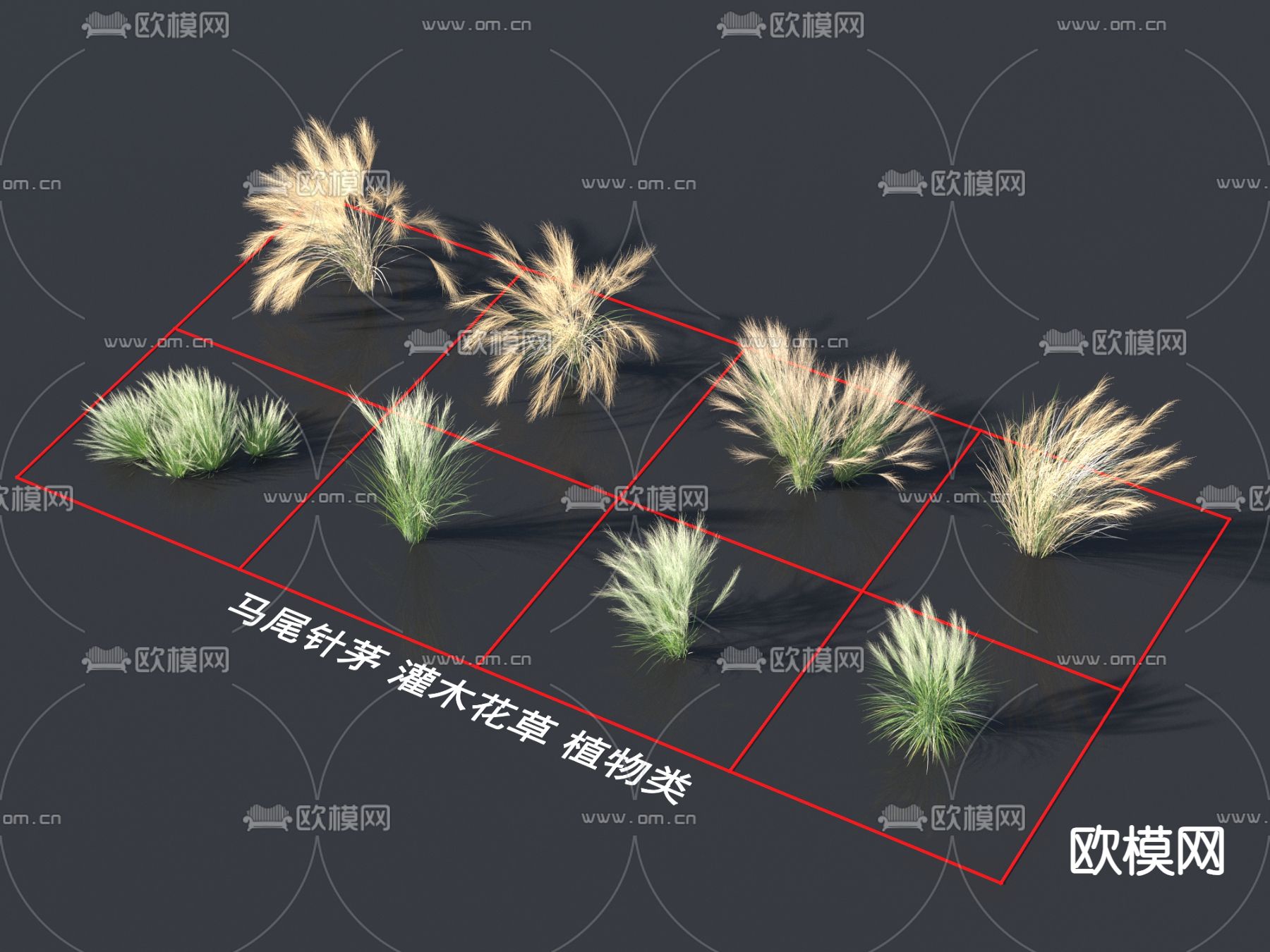 花草 马尾针茅3d模型下载