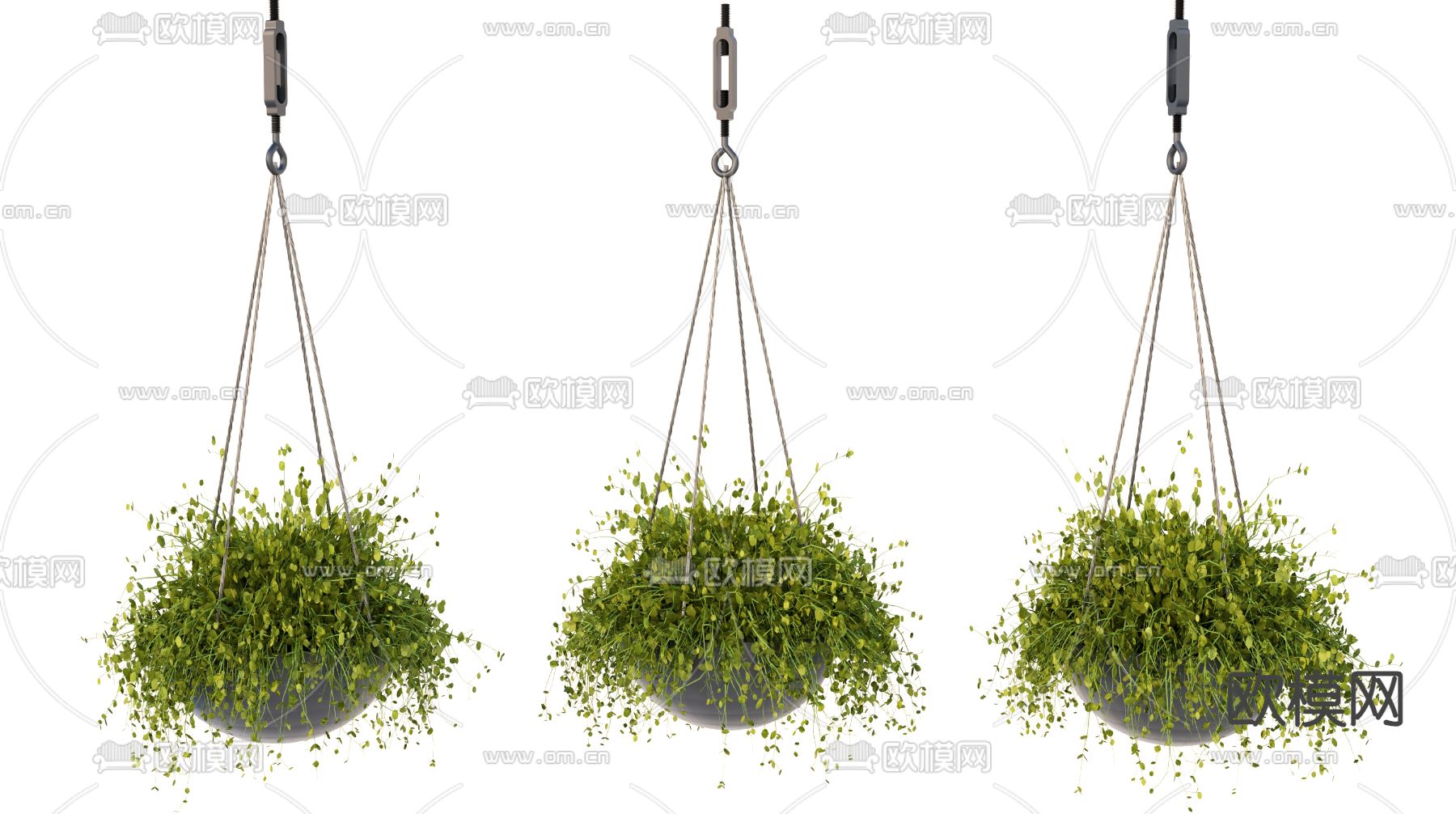 植物吊篮 吊兰 悬挂绿植3d模型下载