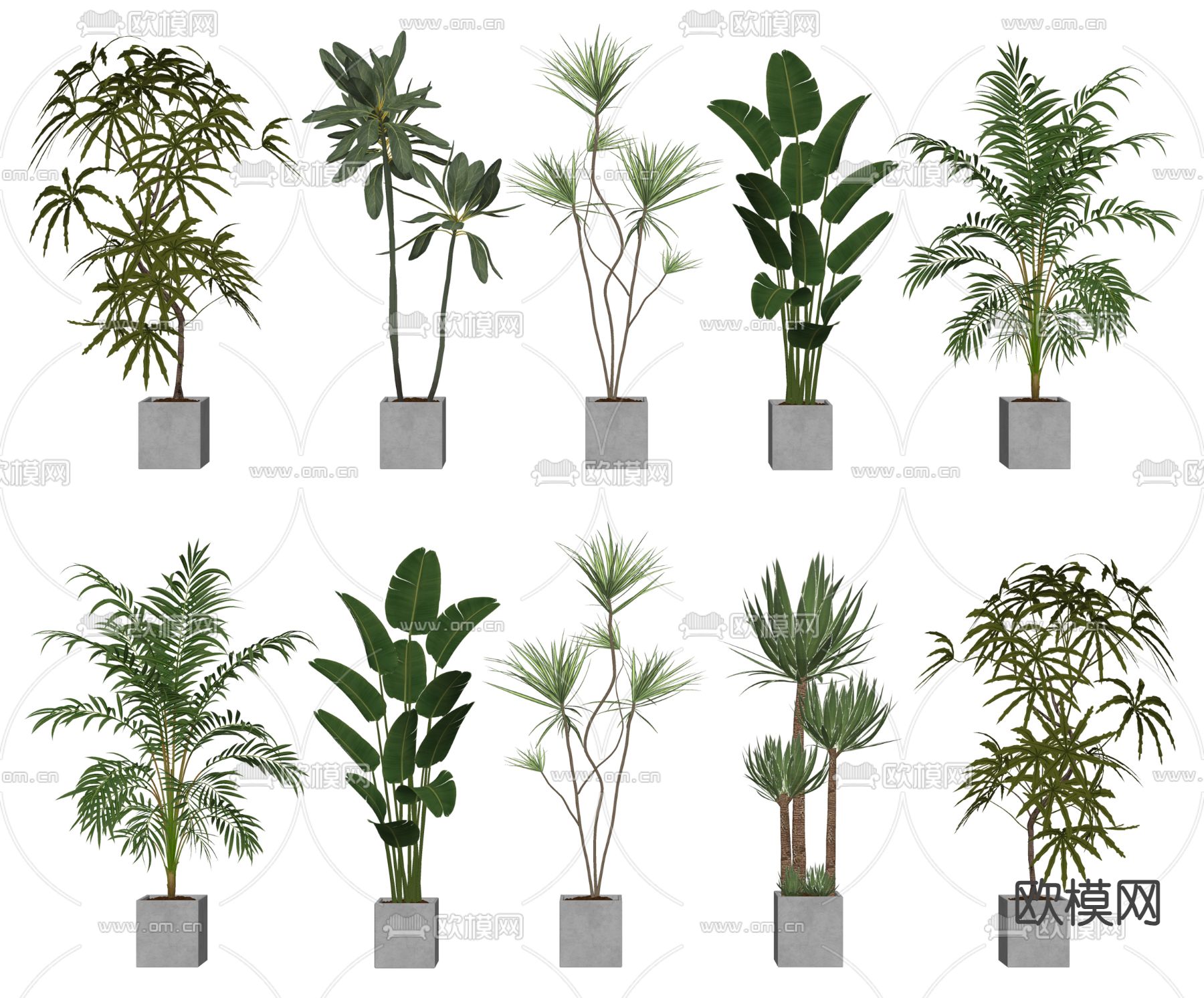 办公室绿植 盆景 盆栽su模型下载（渲染图1）