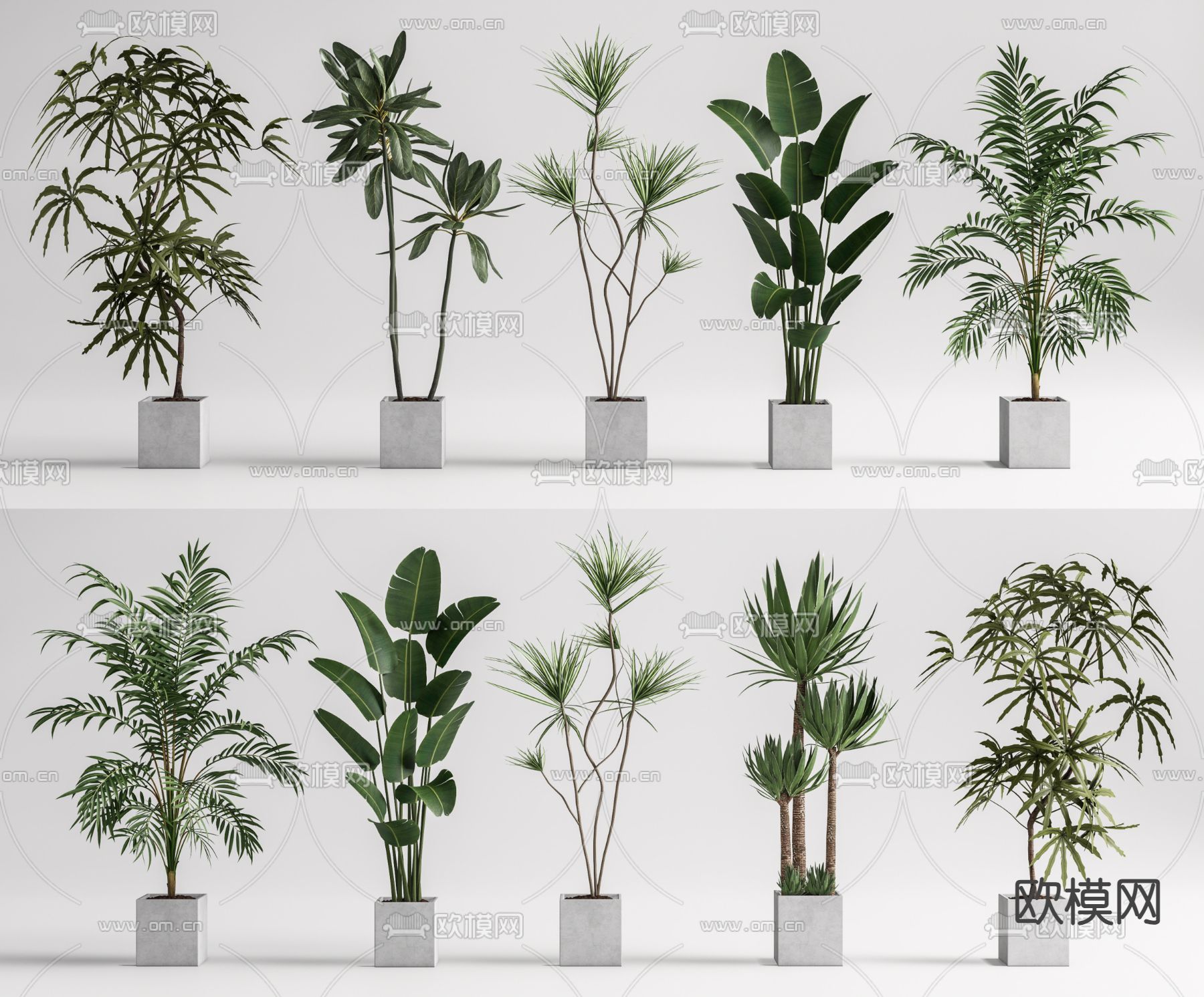 办公室绿植 盆景 盆栽su模型下载（渲染图2）