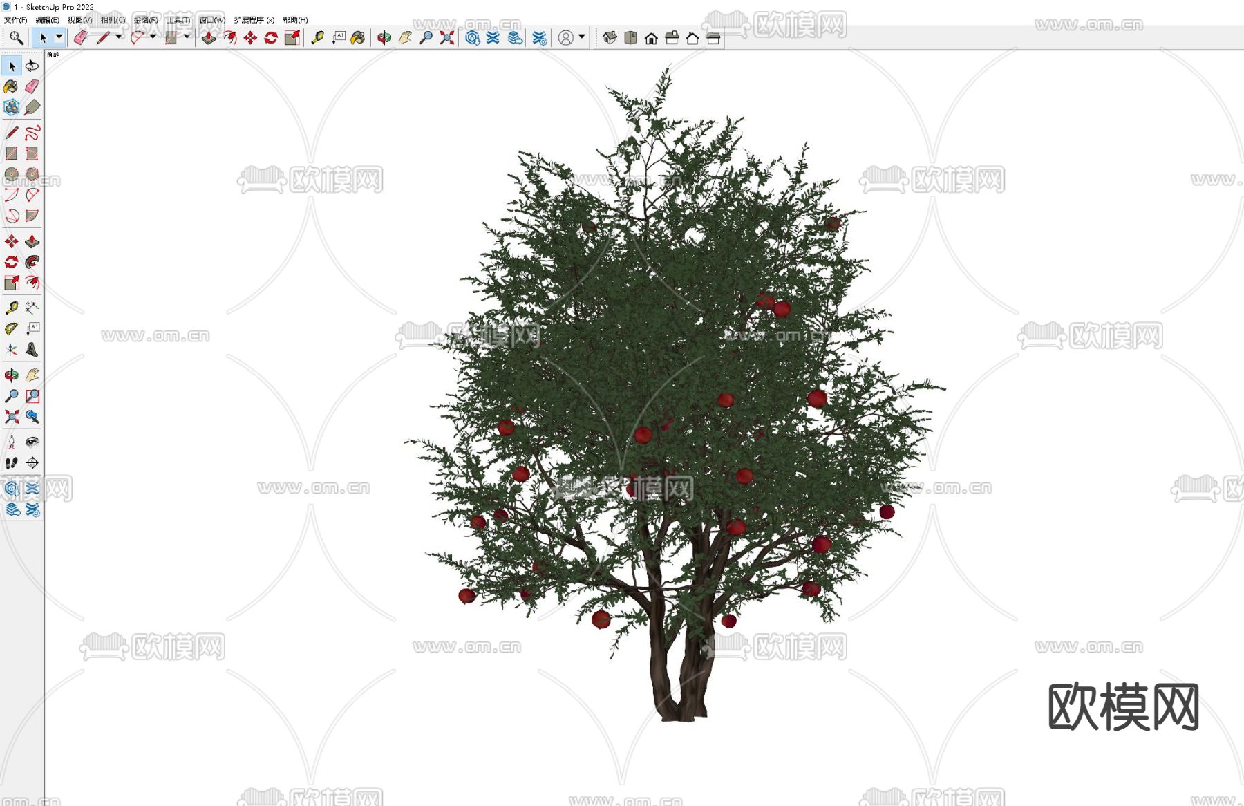 景观树 石榴树 观赏树 树木 果树su模型下载（渲染图1）