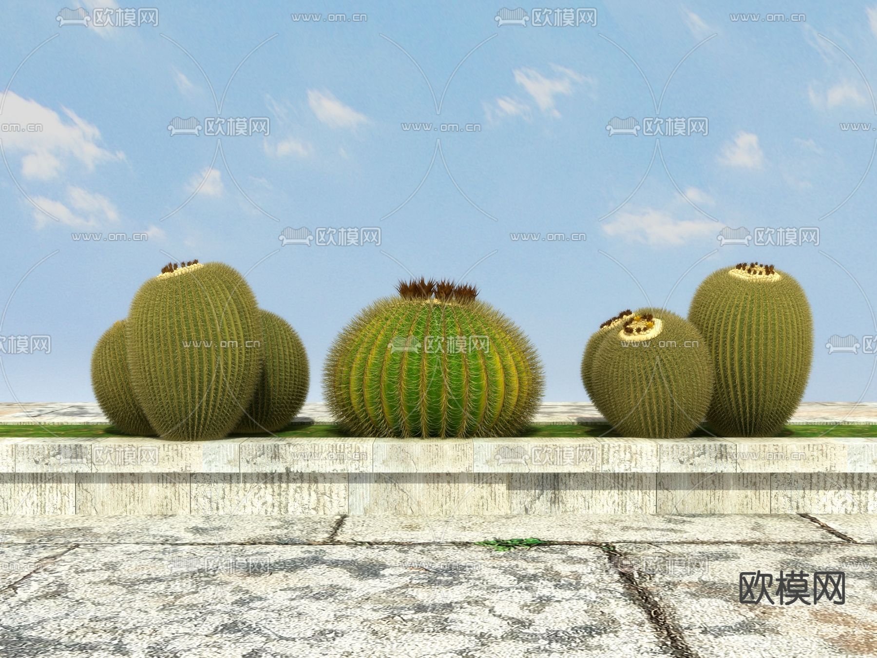 热带植物 仙人球3d模型下载