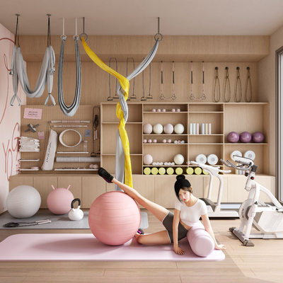  现代家居健身房 运动器材su模型 