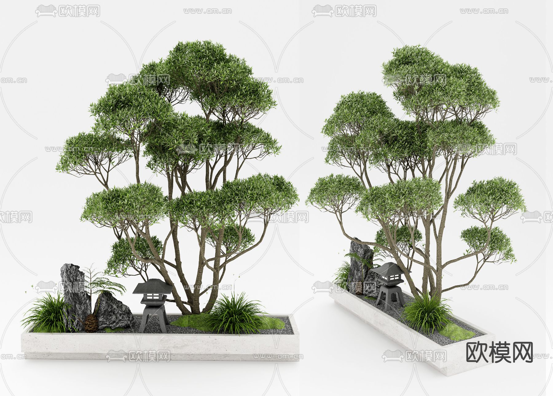 景观树 盆景 盆栽su模型下载（渲染图2）