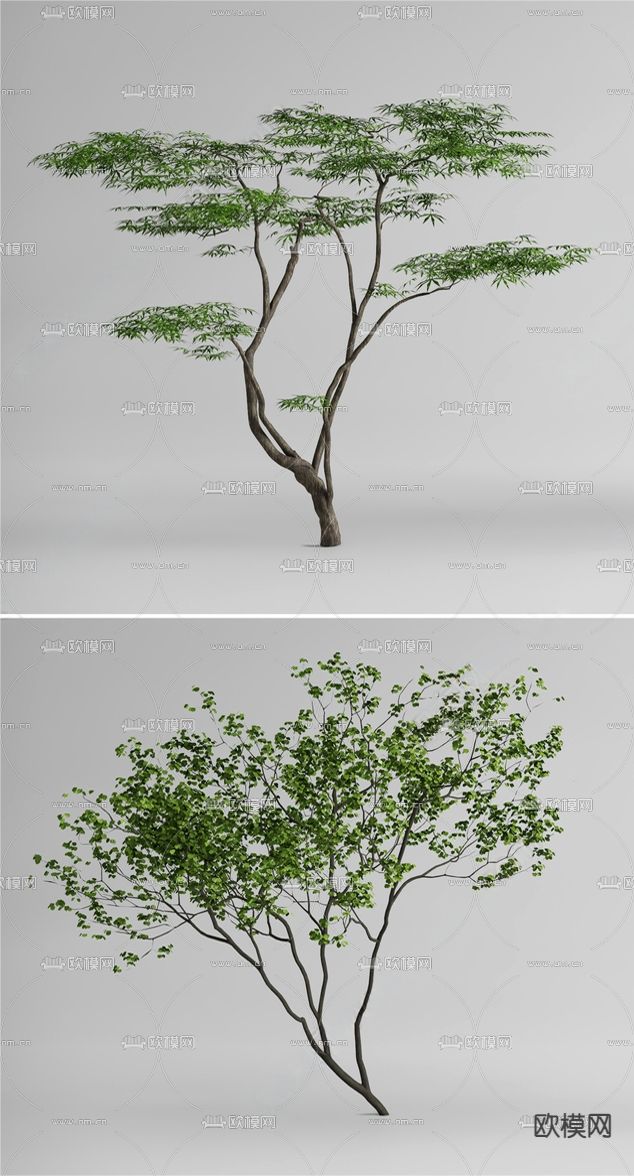 景观树 造型树 乔木su模型下载（渲染图2）