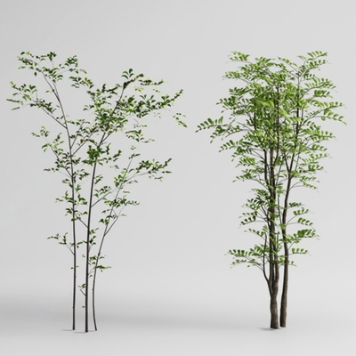  景观树 造型树 乔木su模型 