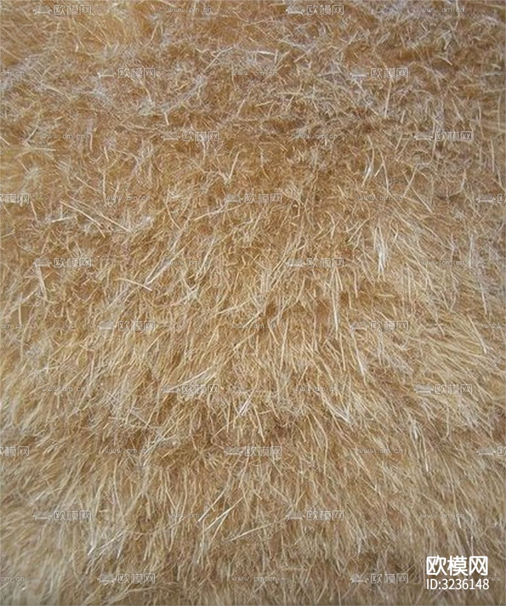 动物毛皮贴图下载