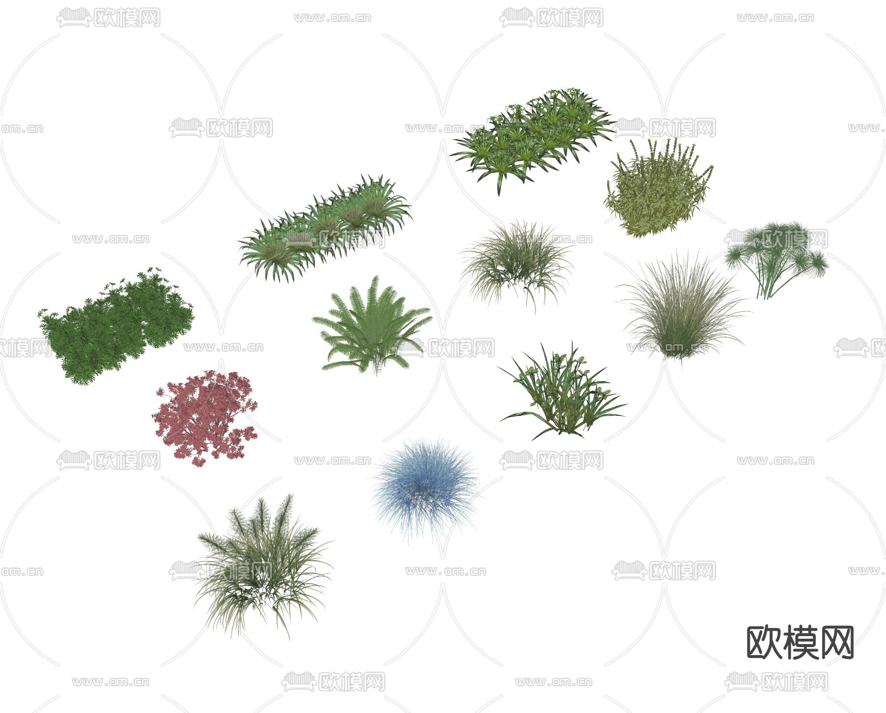 花境花坛 蓝羊茅 紫柳 芦苇su模型下载（渲染图1）