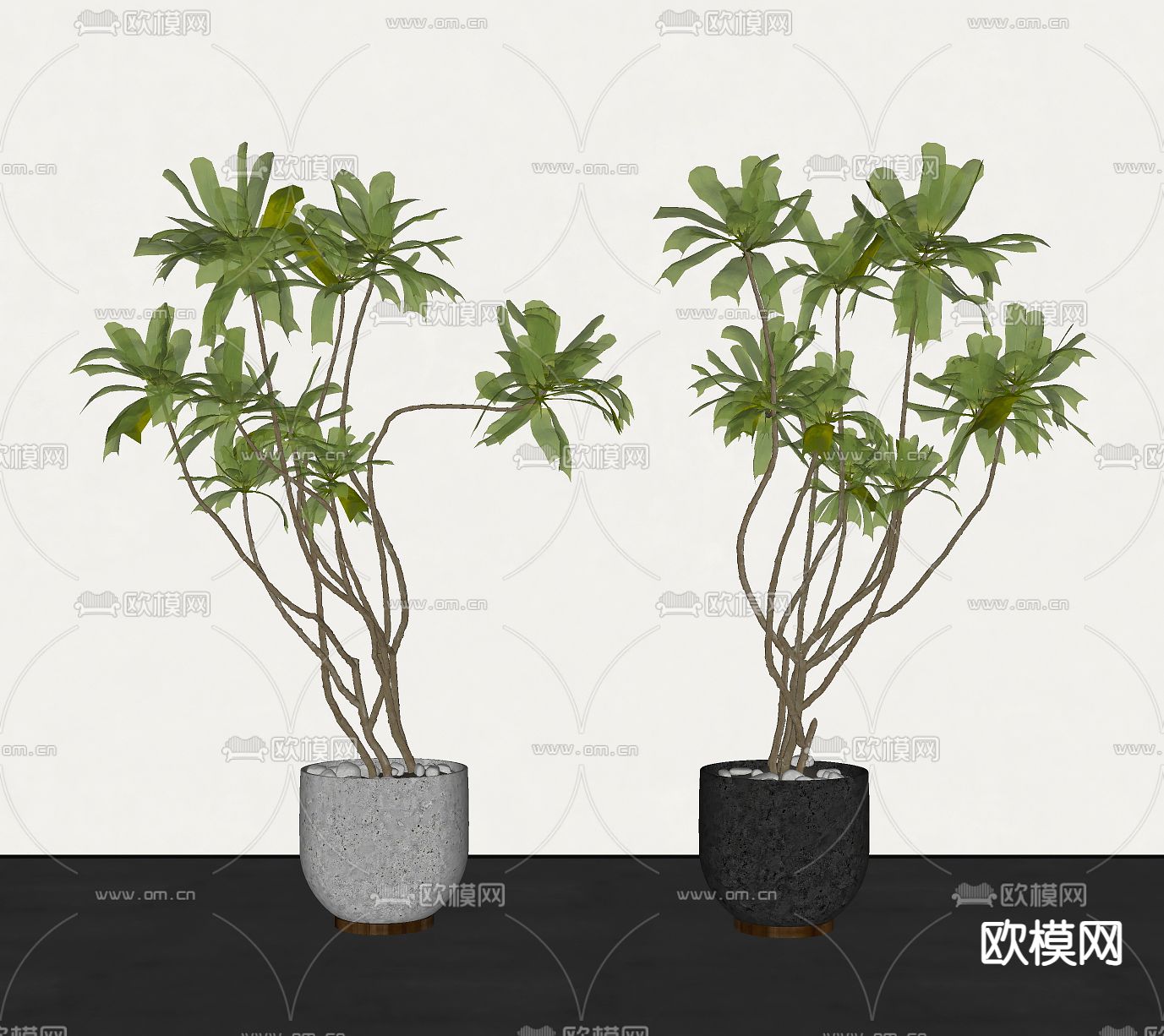 中古风盆景 盆栽su模型下载（渲染图1）