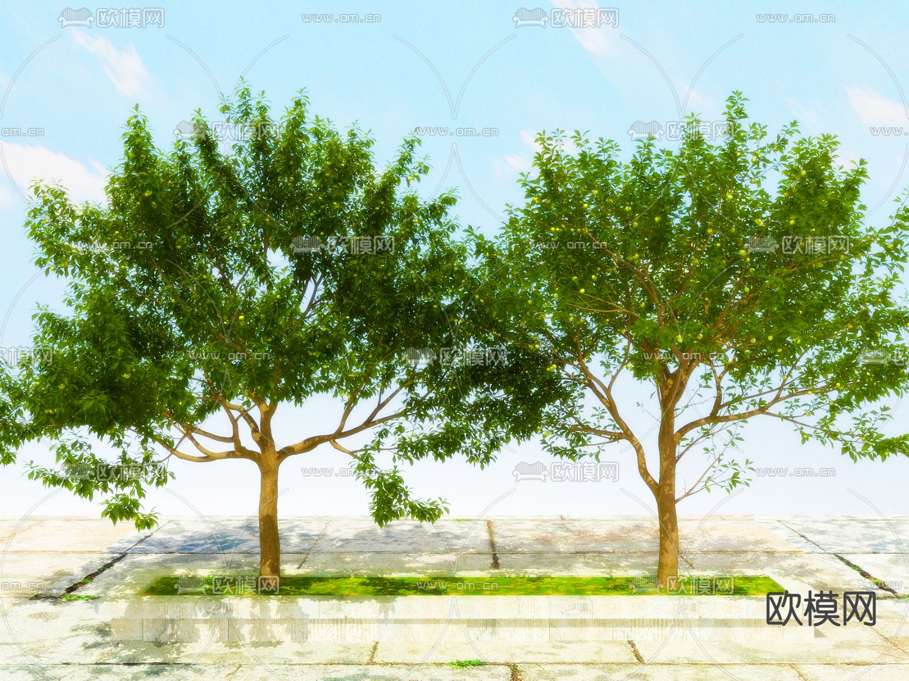 景观树 果树 大树 杧树3d模型下载
