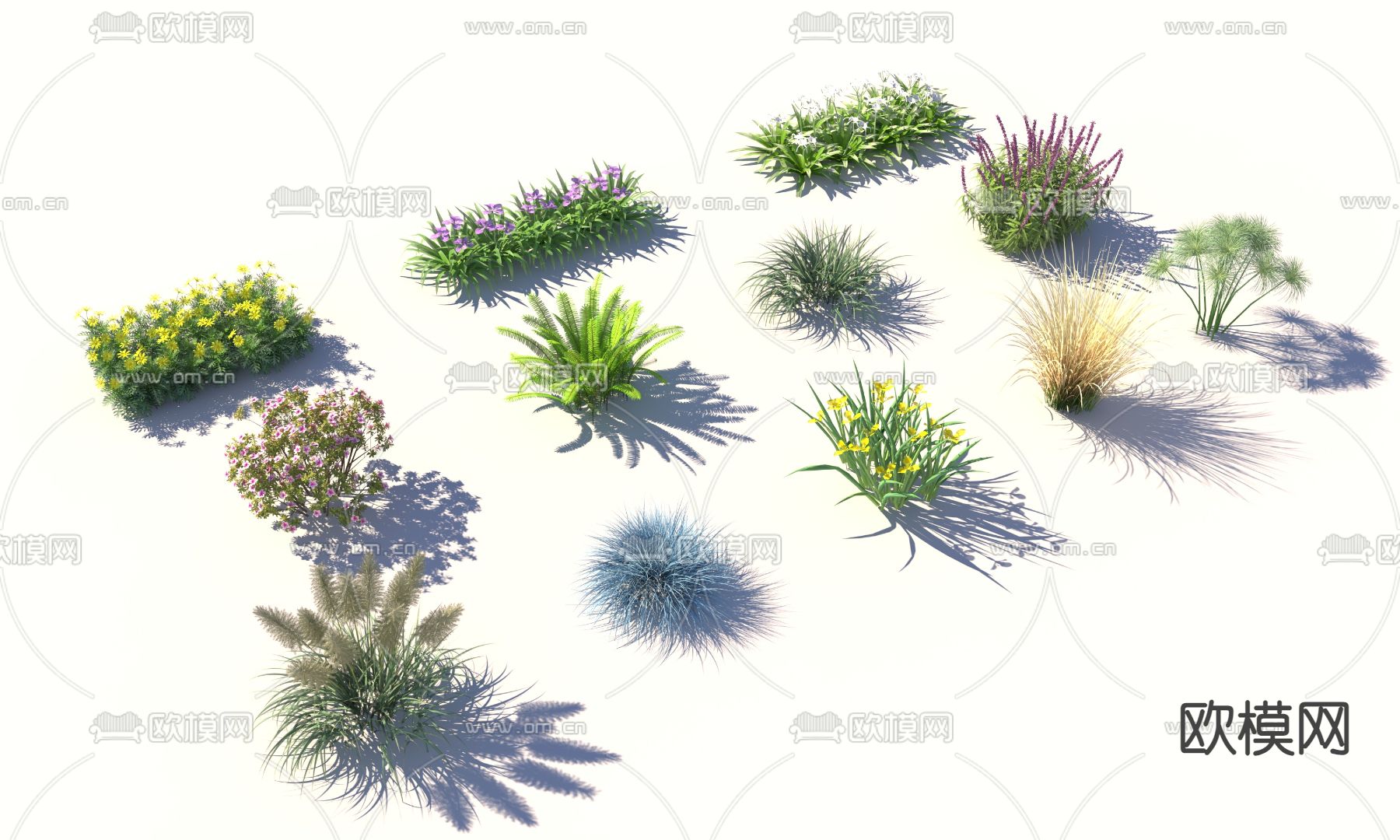 花境花坛 蓝羊茅 紫柳 芦苇su模型下载（渲染图2）