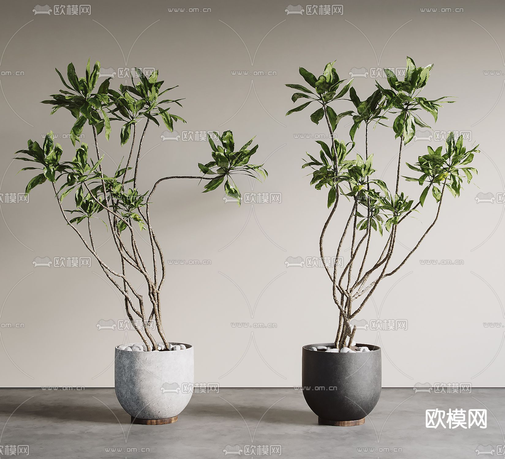 中古风盆景 盆栽su模型下载（渲染图2）