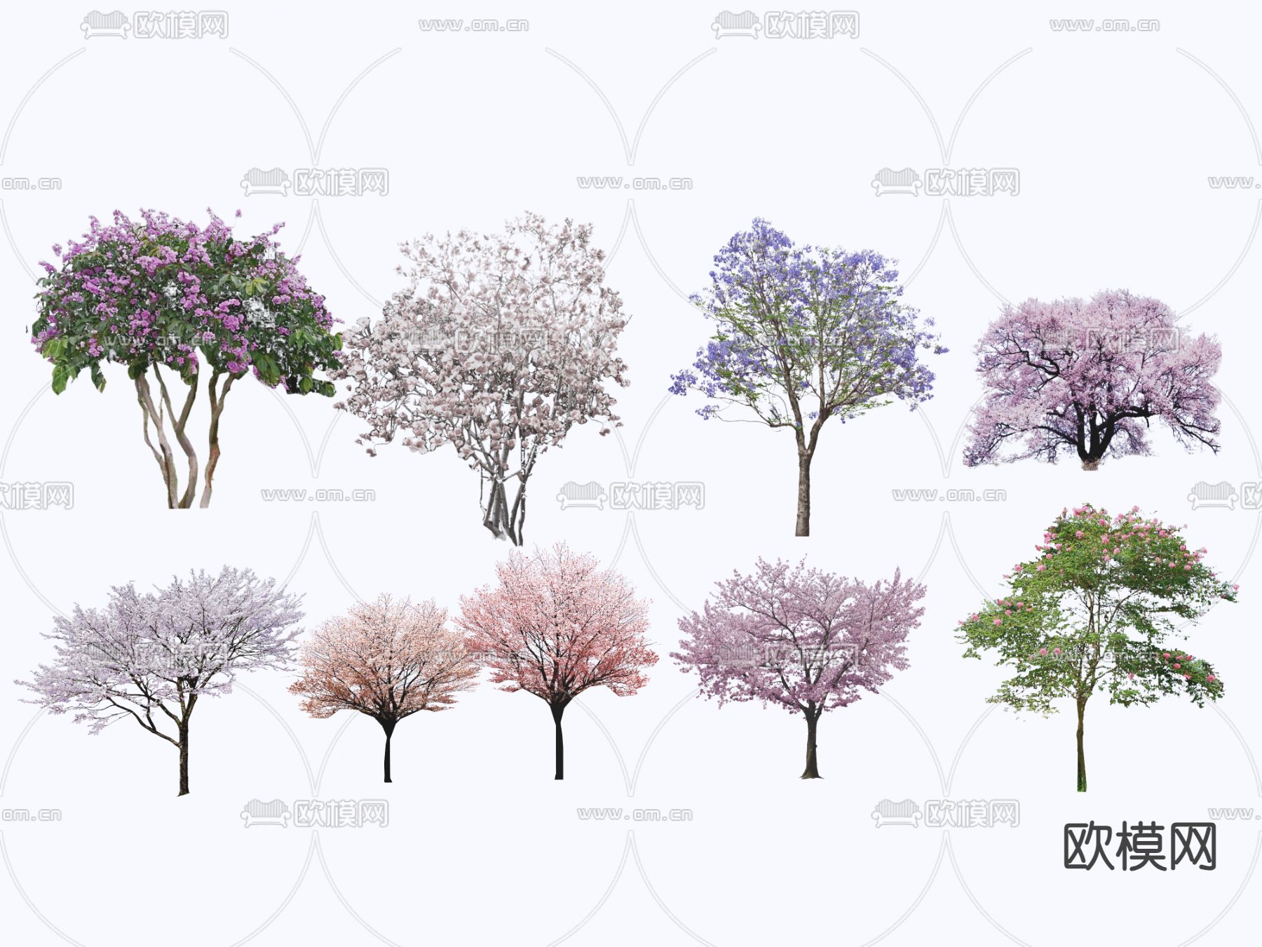 景观树 樱花树 樱花 桃花su模型下载（渲染图2）