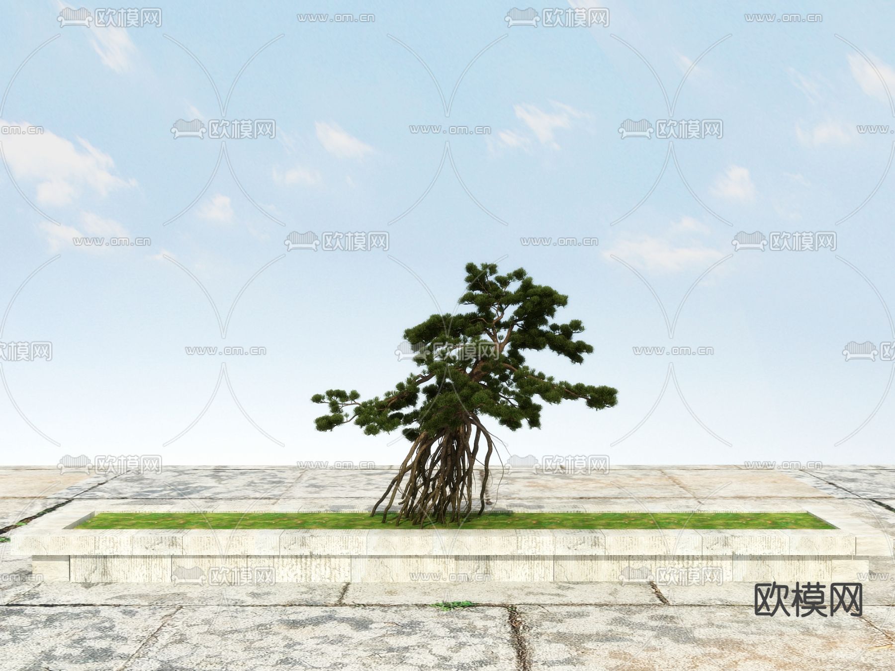 新中式松树 罗汉松 迎客松3d模型下载