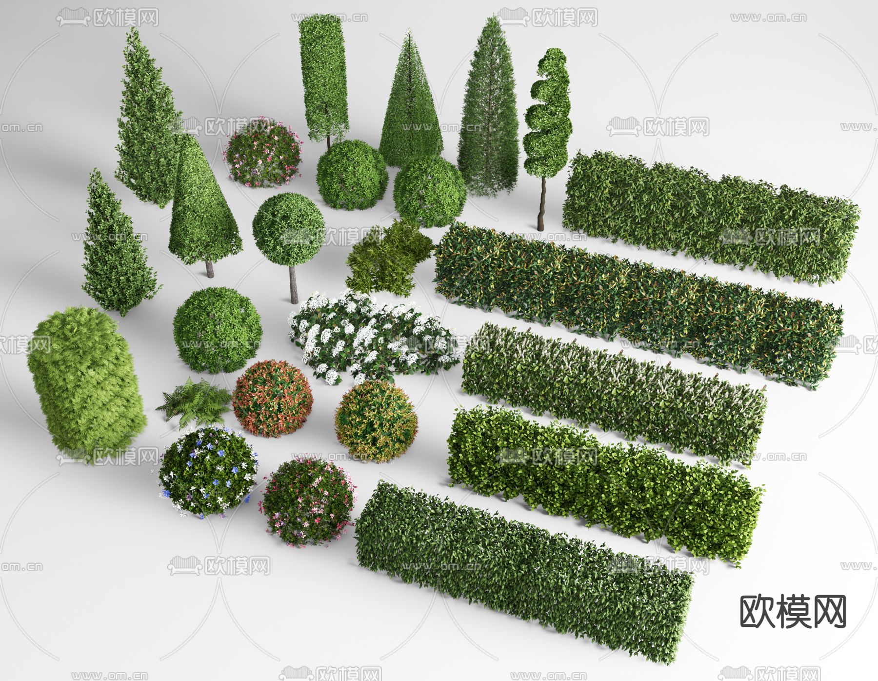 灌木绿篱 绿化带 灌木球3d模型下载