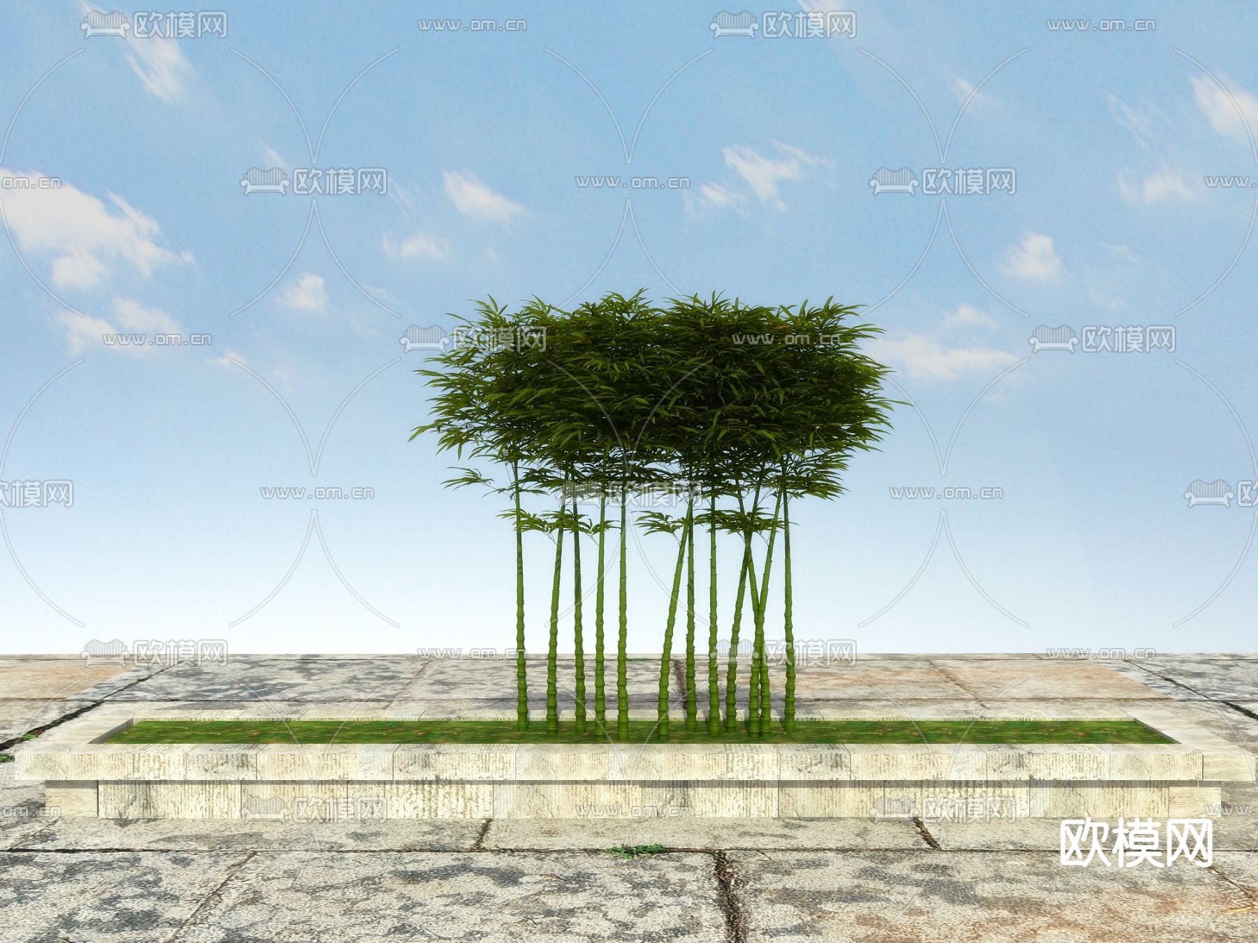 罗汉竹 佛肚竹3d模型下载