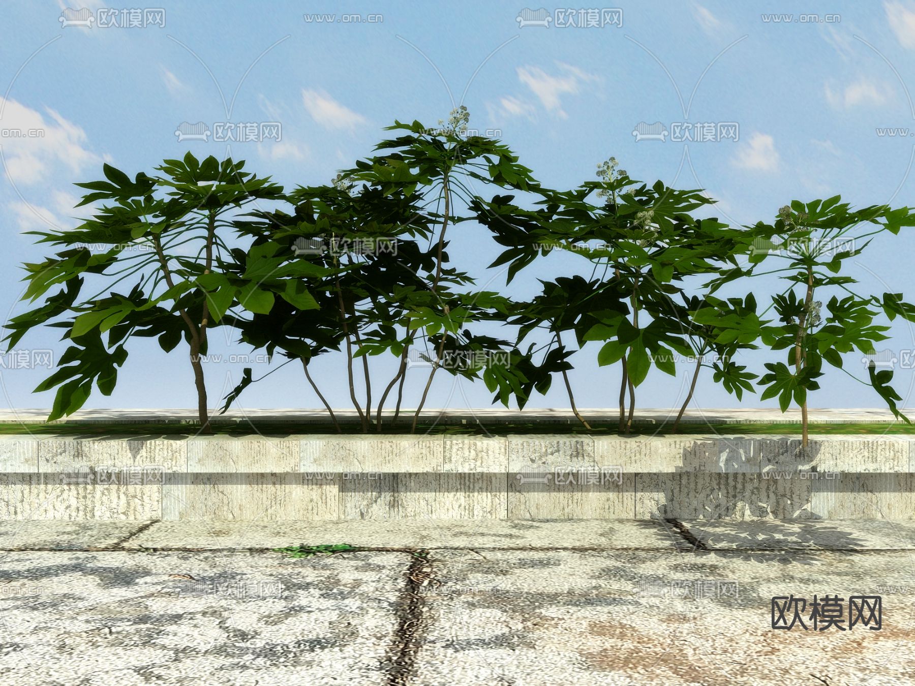 开花灌木 花槽 庭院植物3d模型下载