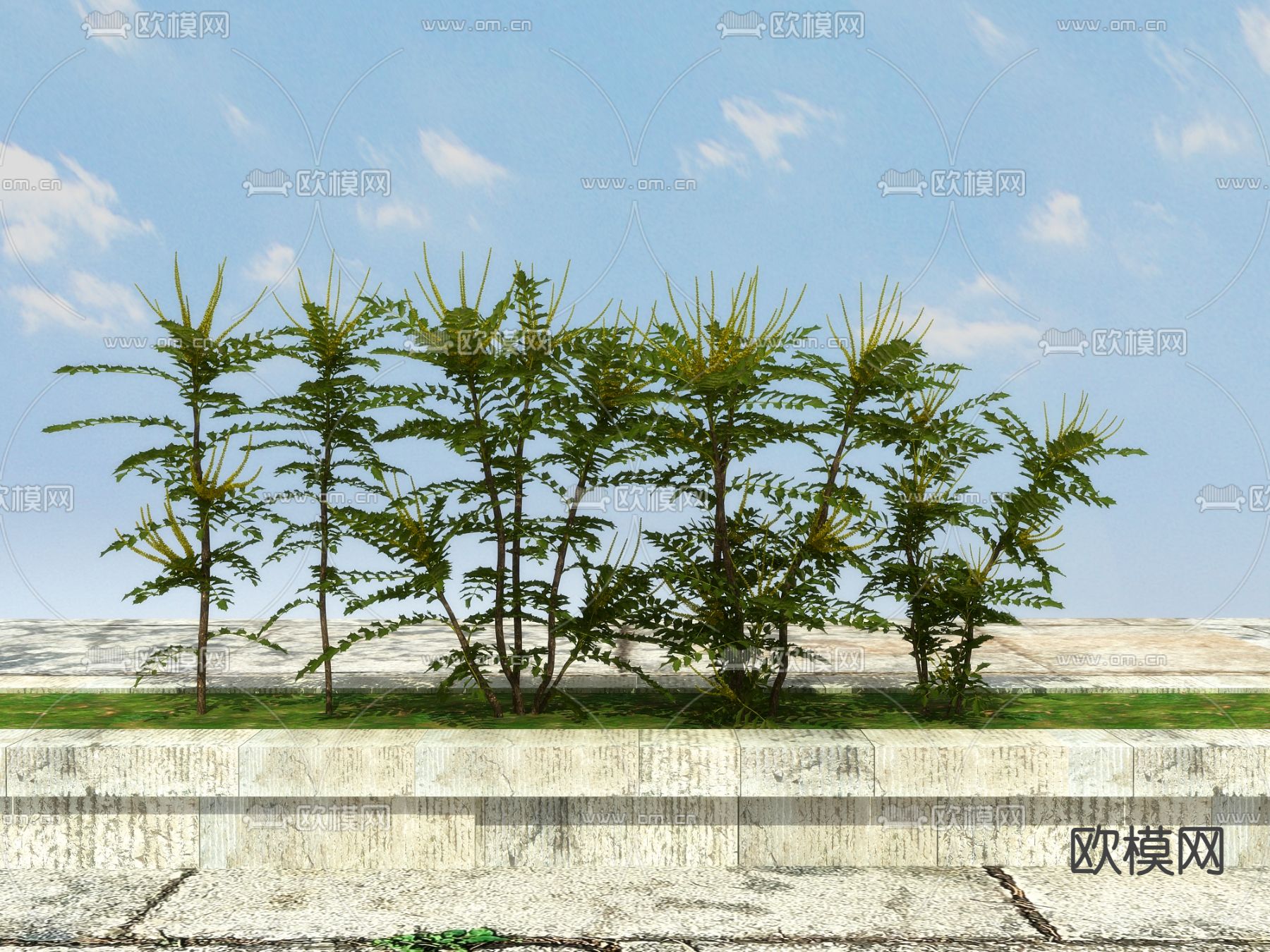 开花灌木 花槽 庭院植物3d模型下载