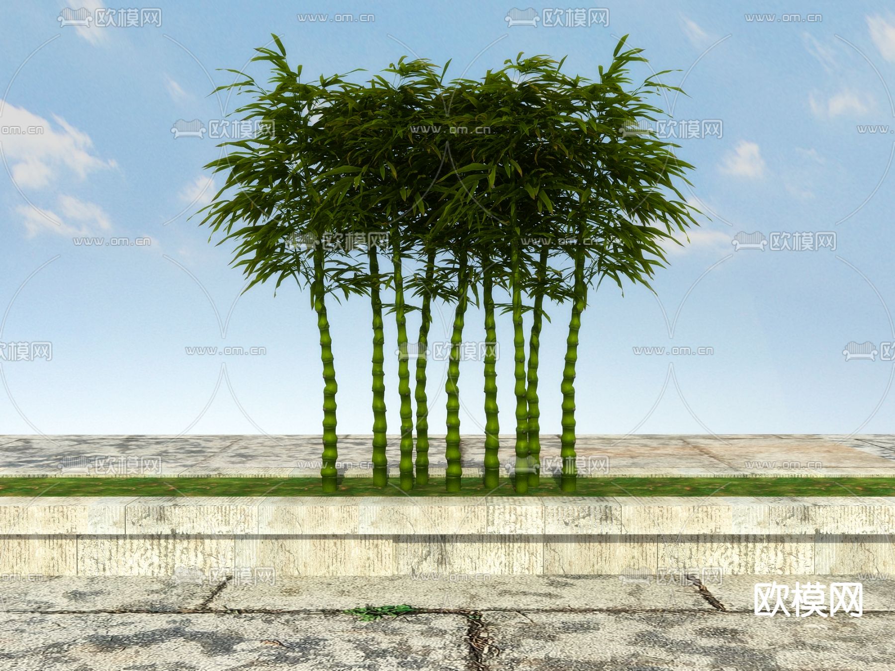 罗汉竹 佛肚竹3d模型下载