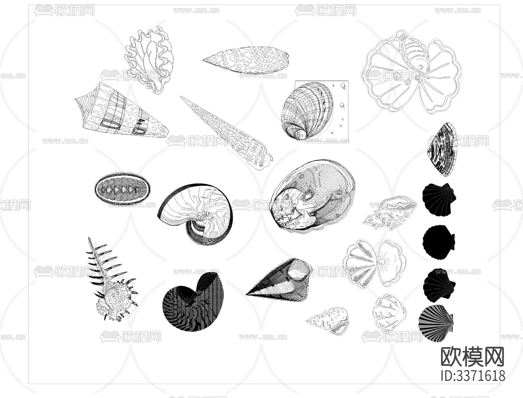 海洋生物CAD图库下载（渲染图2）