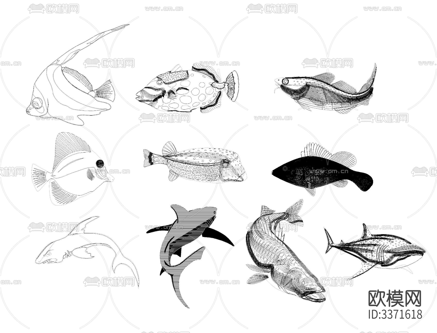 海洋生物CAD图库下载（渲染图1）