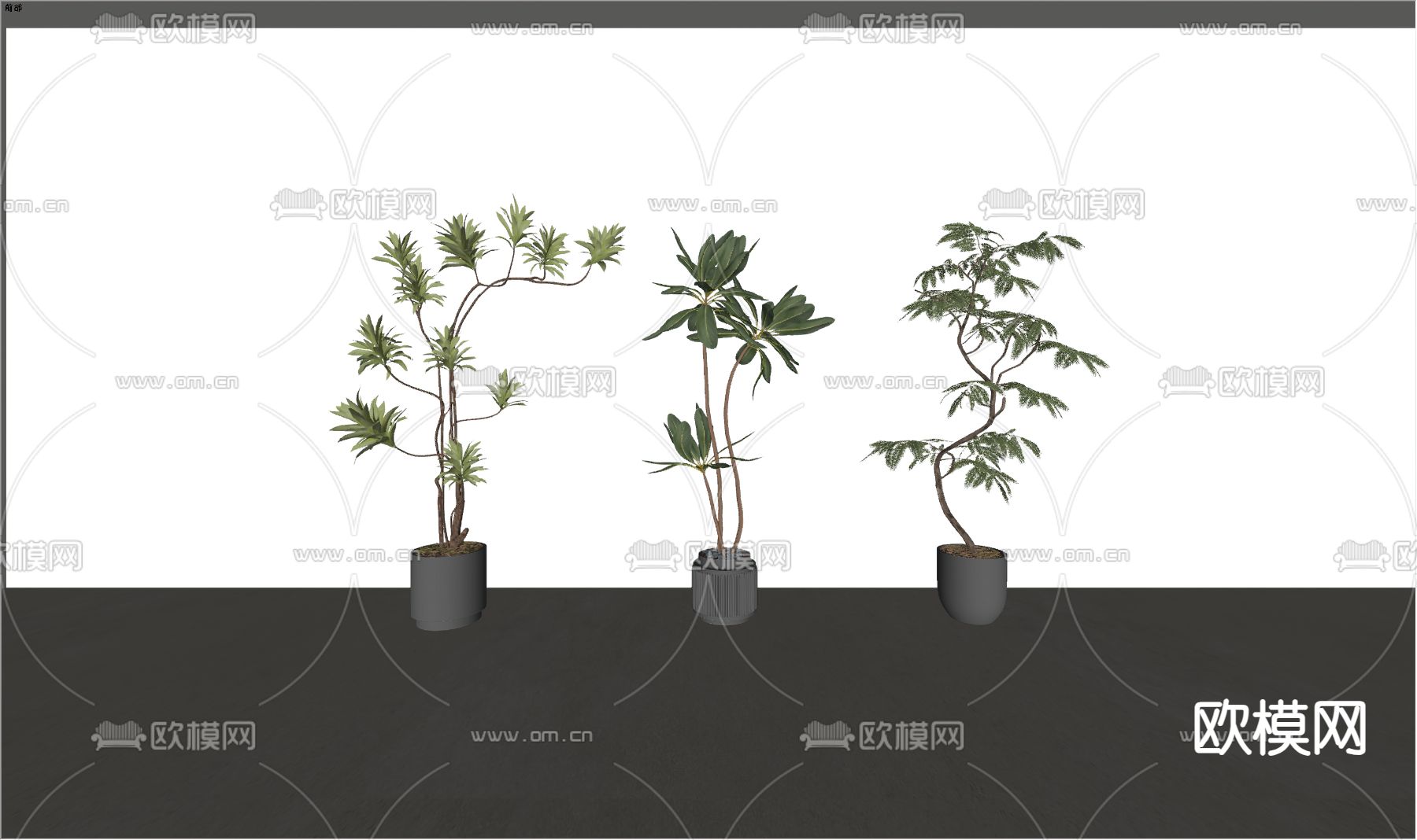 现代盆栽 植物 绿植su模型下载（渲染图1）