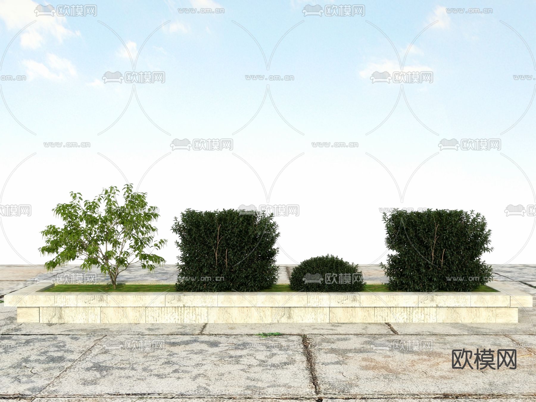 造型灌木 修剪灌木3d模型下载