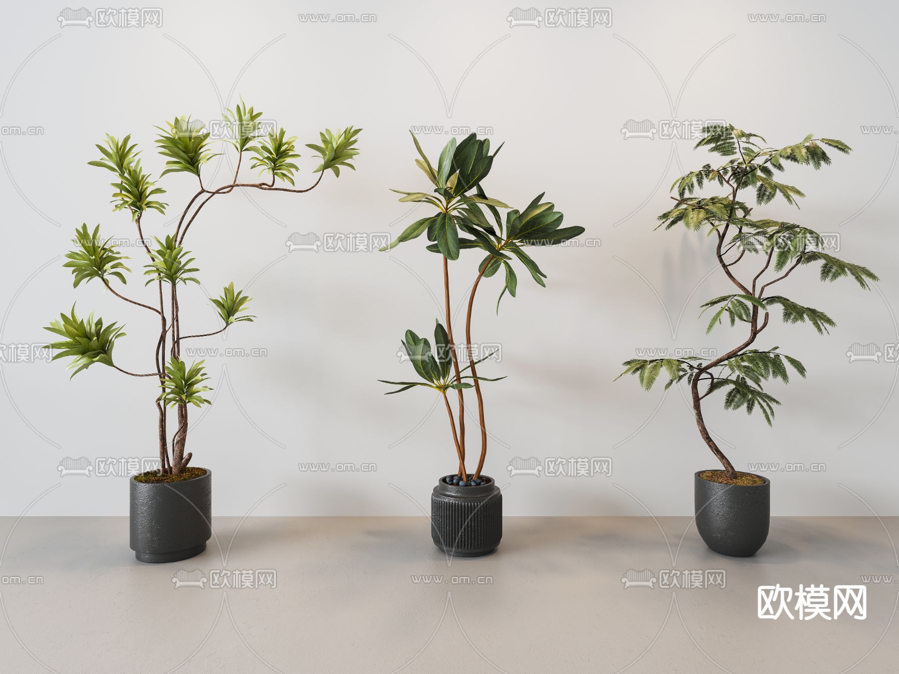 现代绿植 植物 盆栽 3d模型下载