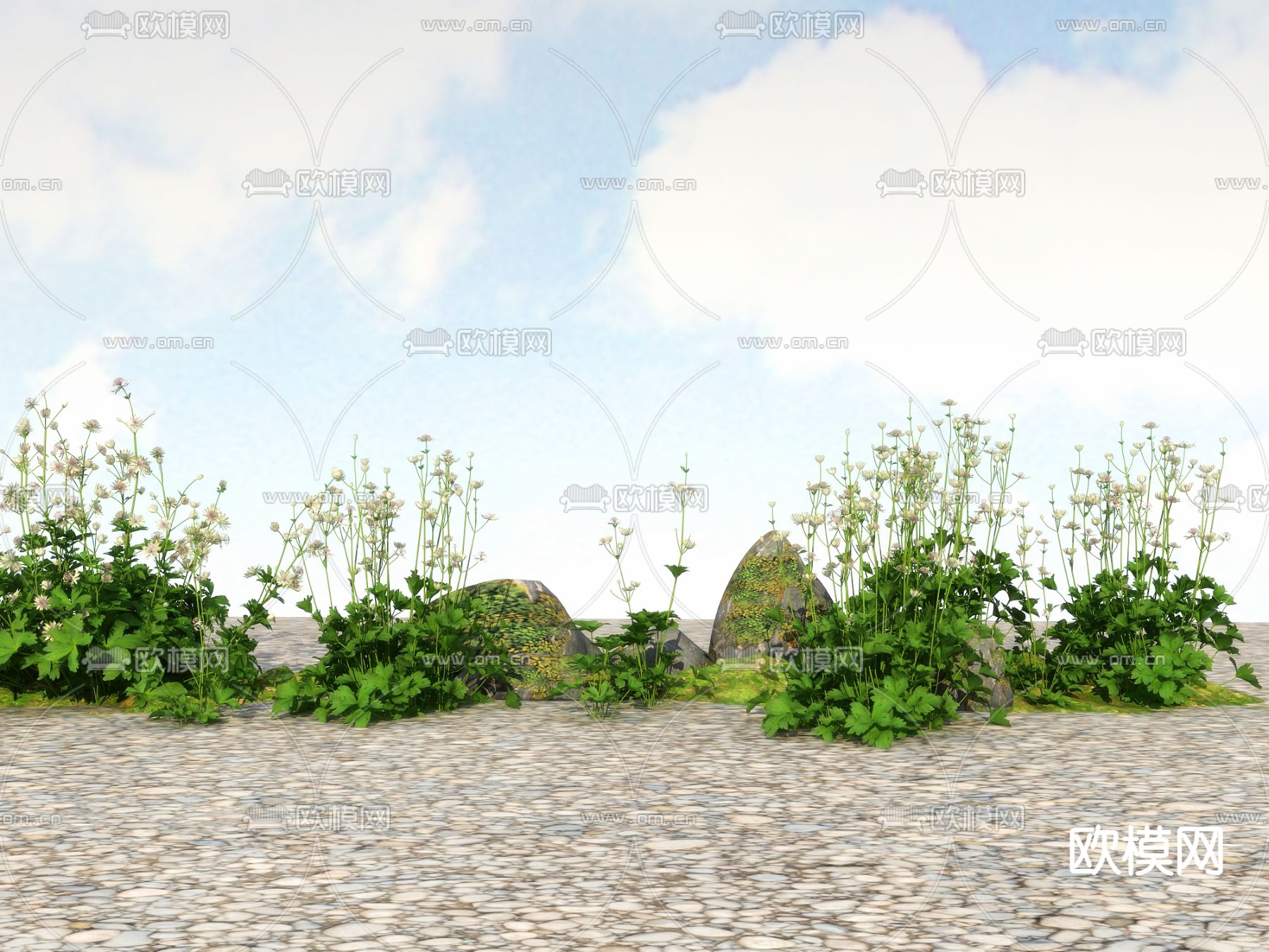 花草 野花 小雏菊3d模型下载