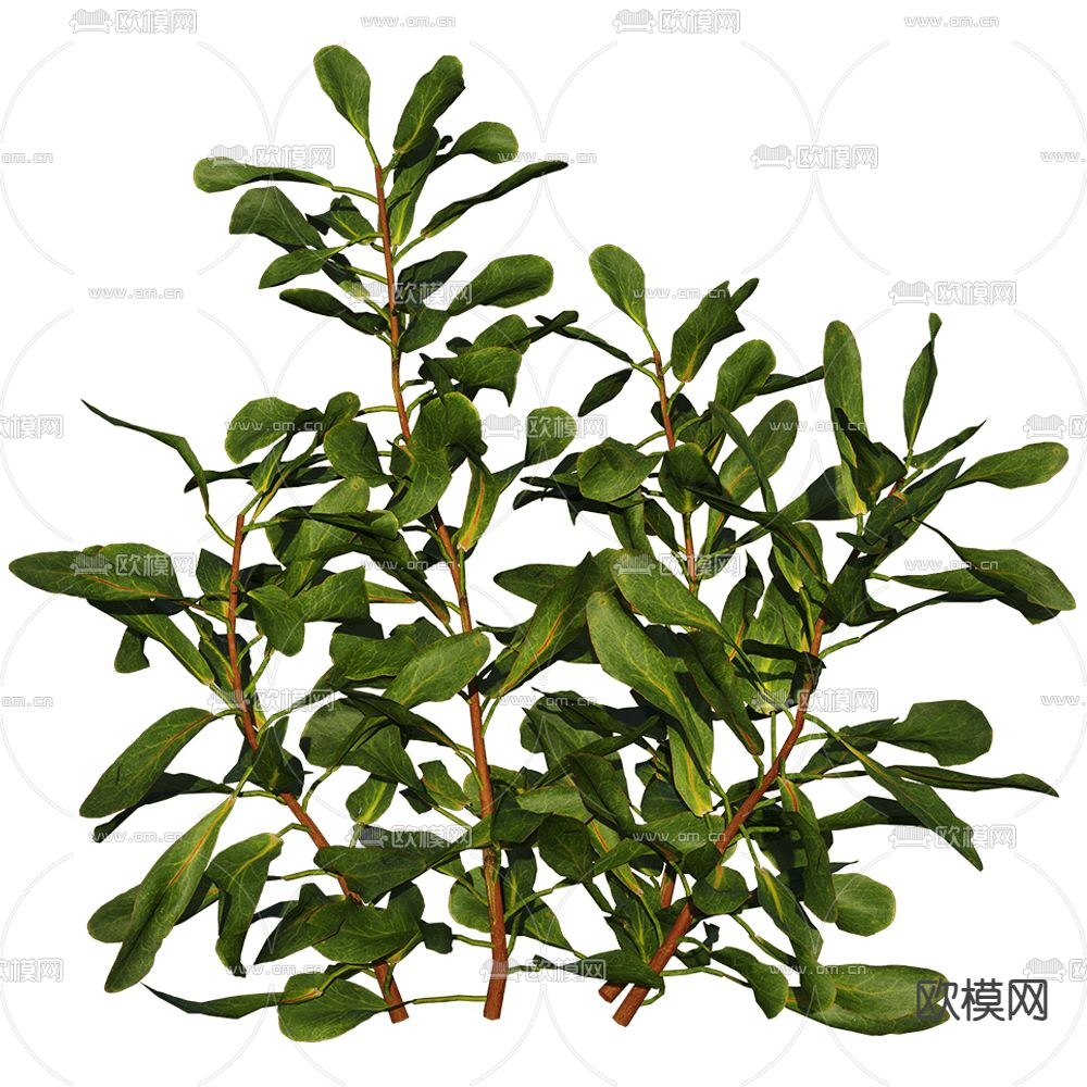 景观树 灌木植物3d模型下载