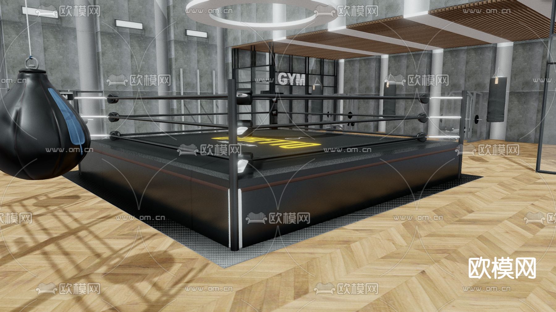 现代健身房 拳击馆3d模型下载