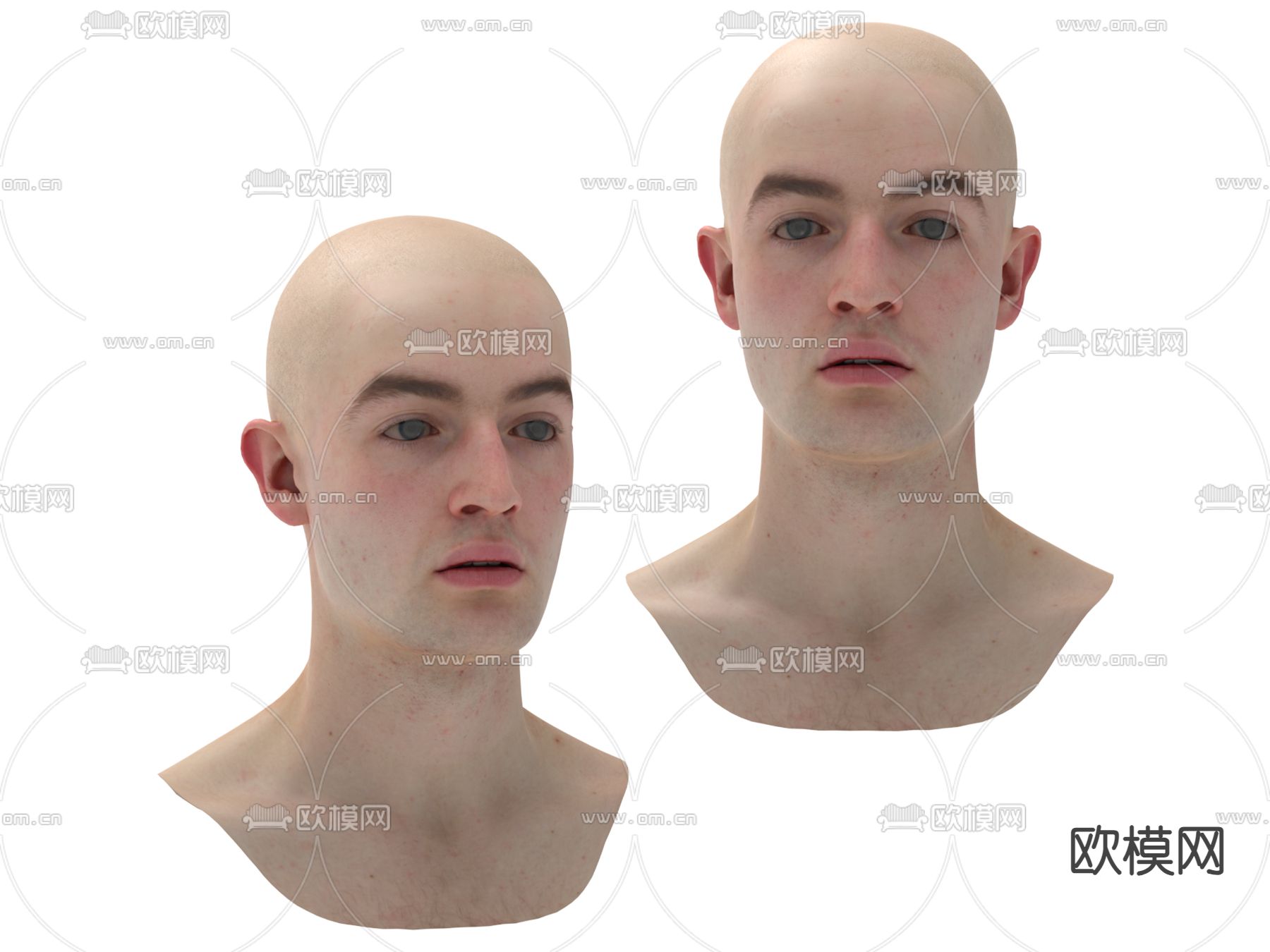 人物雕像 人物头像3d模型下载