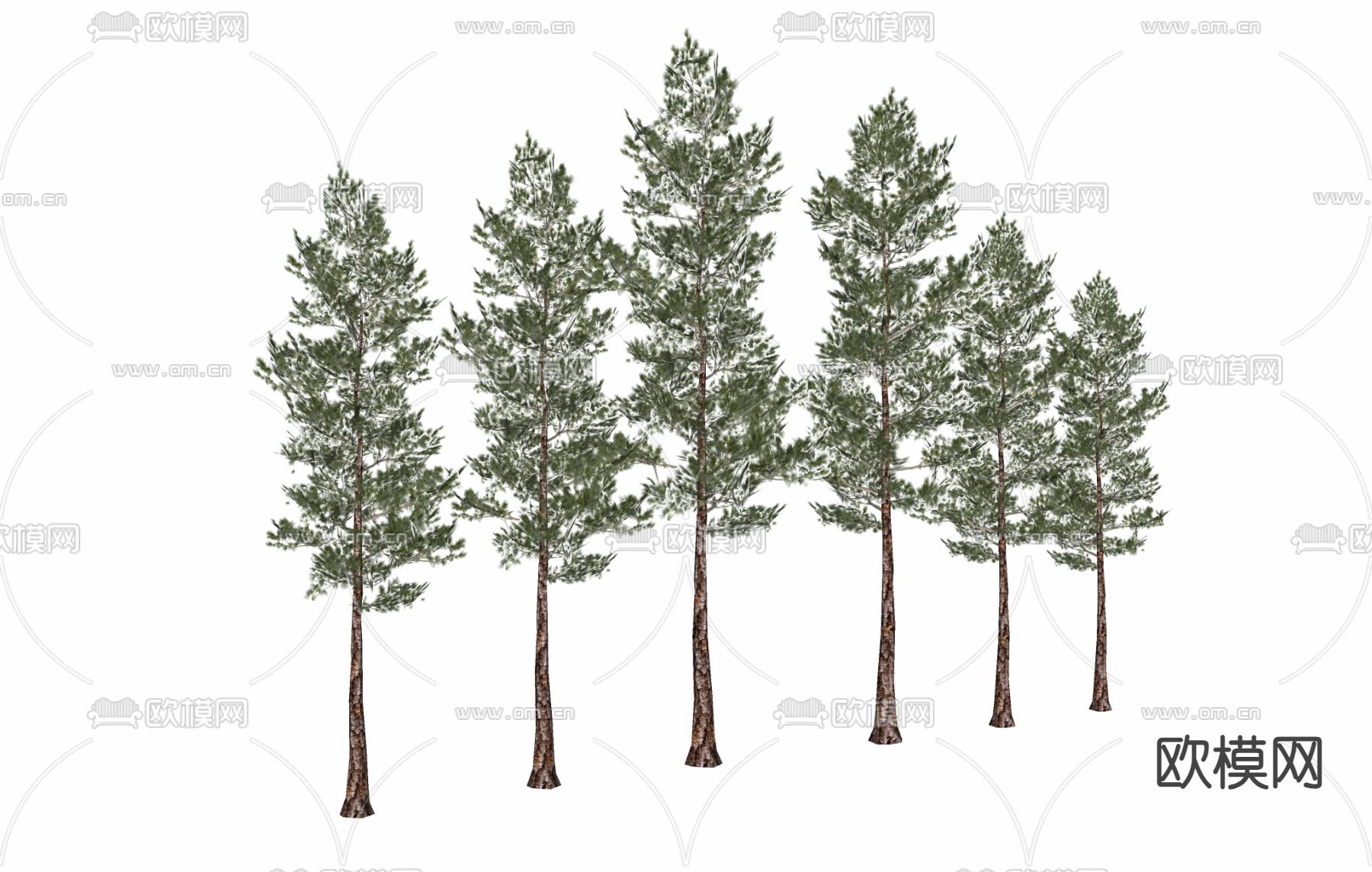 绿植 树木 户外树su模型下载（渲染图1）