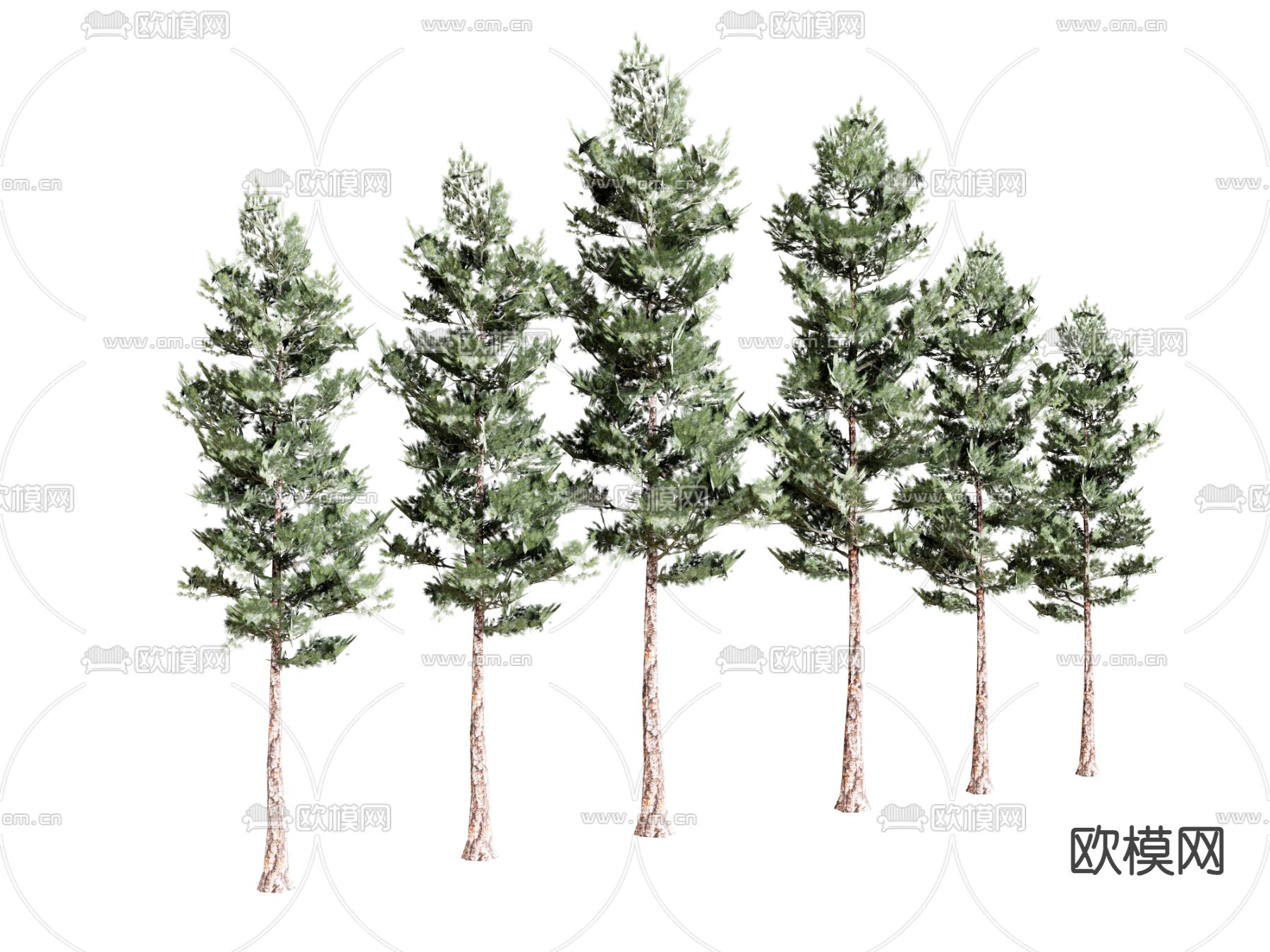 绿植 树木 户外树su模型下载（渲染图2）