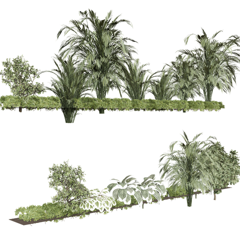  树木 热带植物  绿植树木su模型 