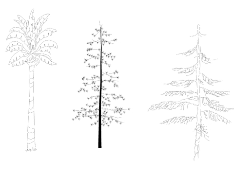  一群高大的树cad图库 