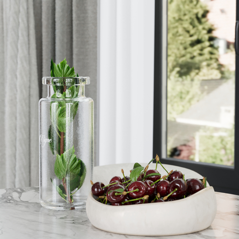  水果 车厘子 果盘su模型 