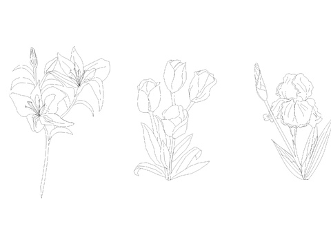  特殊花卉cad图库 