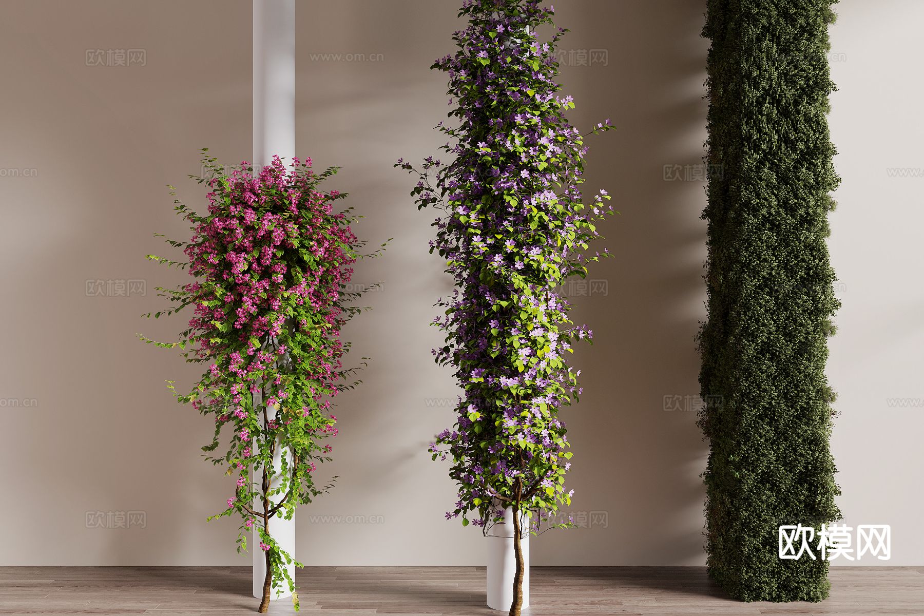 藤蔓 爬藤 常青藤 装饰柱3d模型下载