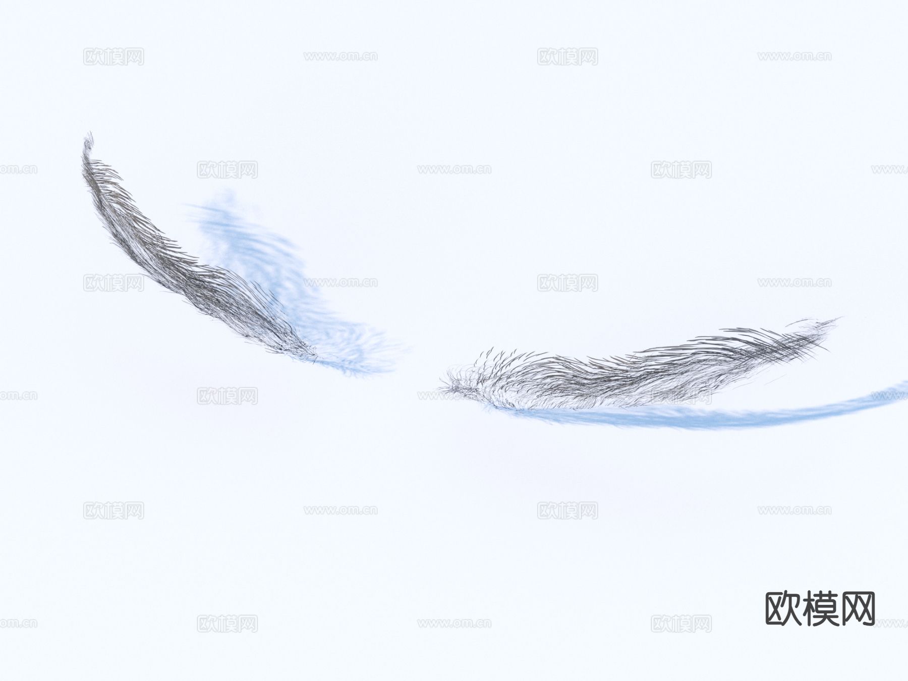 现代睫毛 眼睫毛3d模型下载