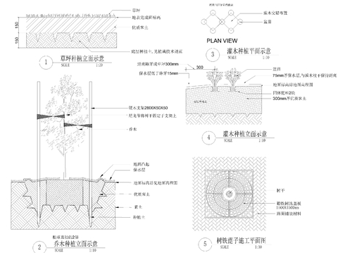  綠化種植cad大樣圖 