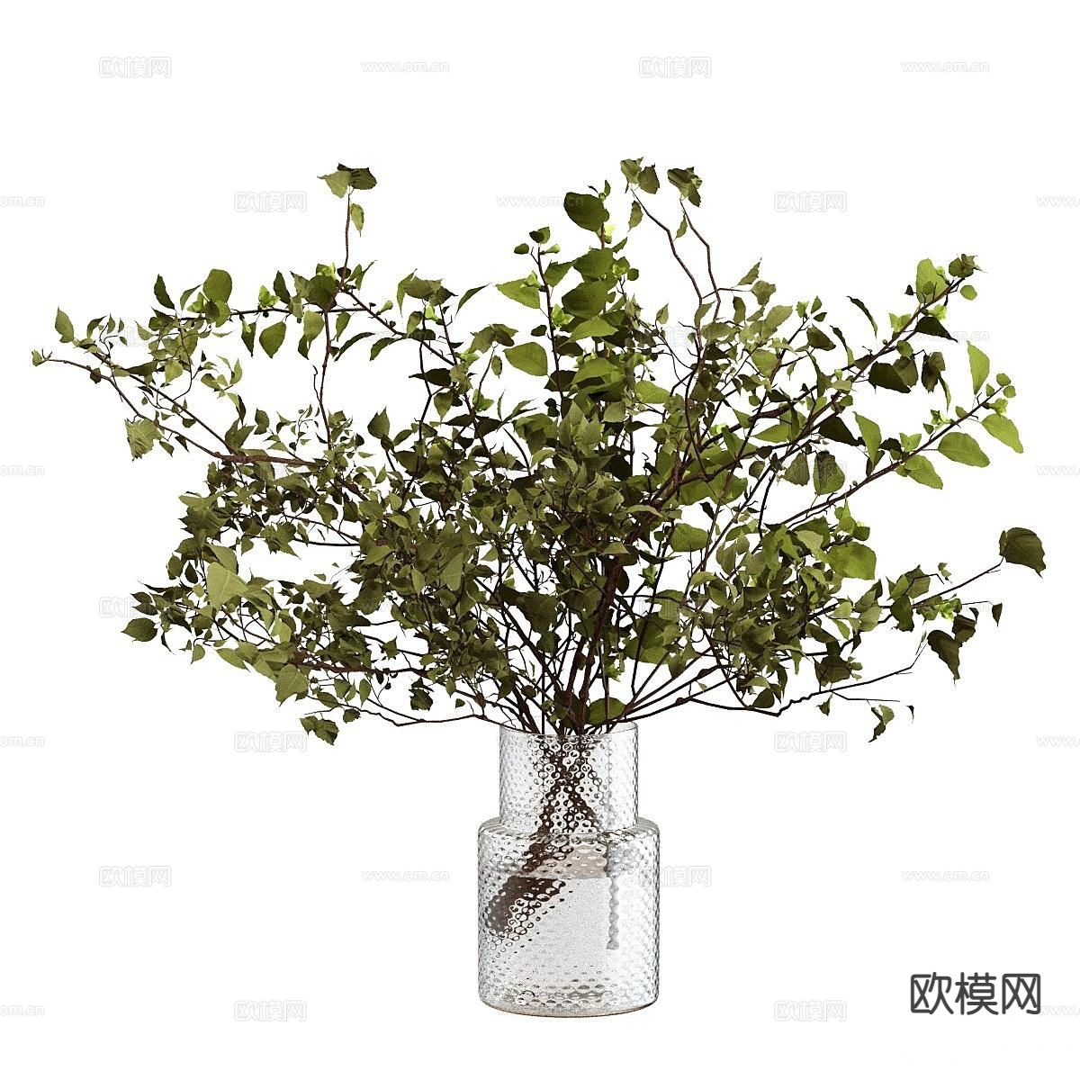 水生植物 水培绿植3d模型下载