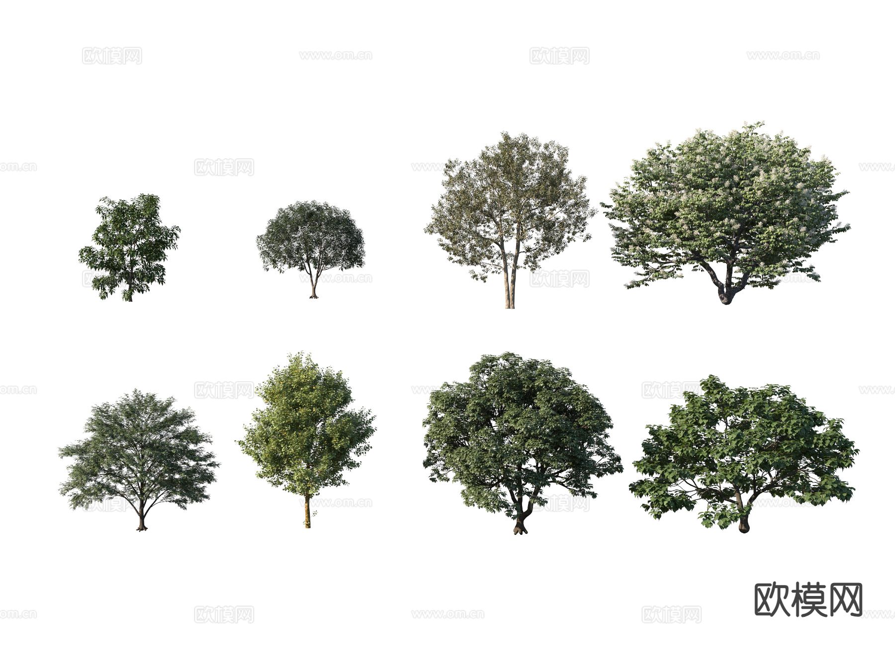 现代大树 行道树3d模型下载